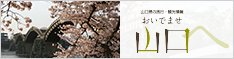 oidemase_banner234_1.png