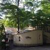 ヴィーナス