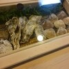 吉寿司