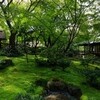 八勝館