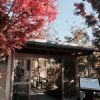 梅の花 岐阜店